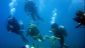 Diving
