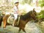 horse02