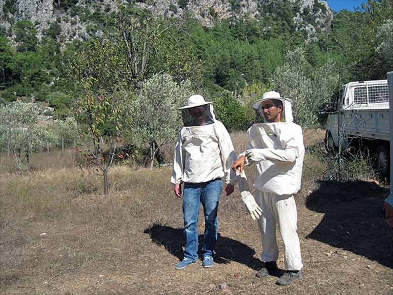Even Ünat puts on strong gloves when approaching the hives