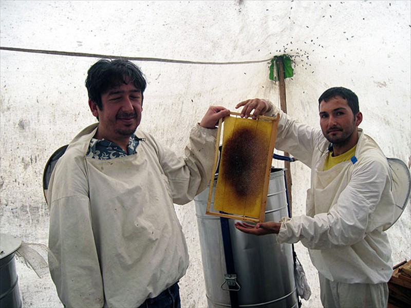 Cihan and Ünat with a clean frame